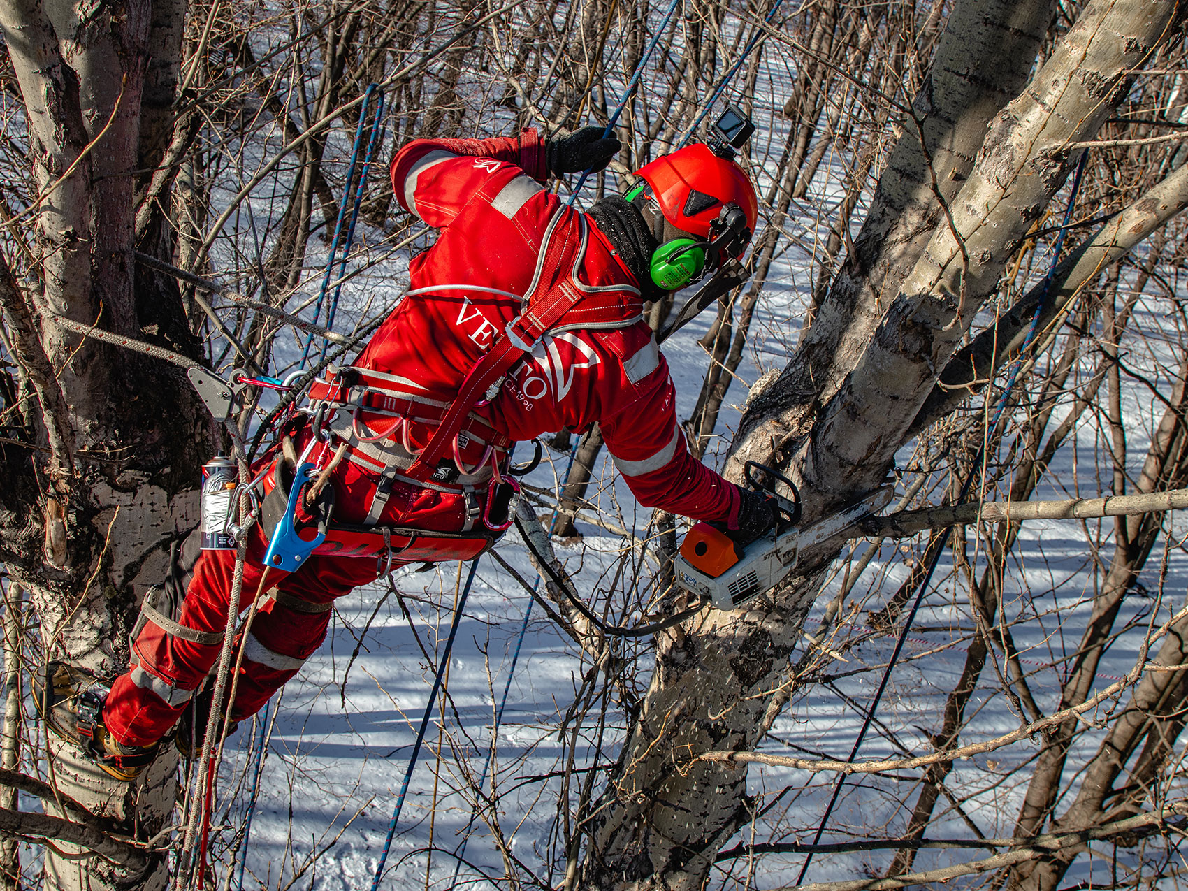 Работа на деревьях: системы безопасности и доступа