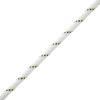 Верёвка статическая Parallel | 10.5 мм | Petzl (Белый, 500 м)